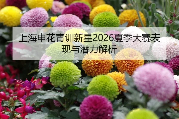 shang-hai-shen-hua-qing-xun-xin-xing-xia-ji-da-sai-biao-xian-yu-qian-li-jie-xi-2-549.jpg